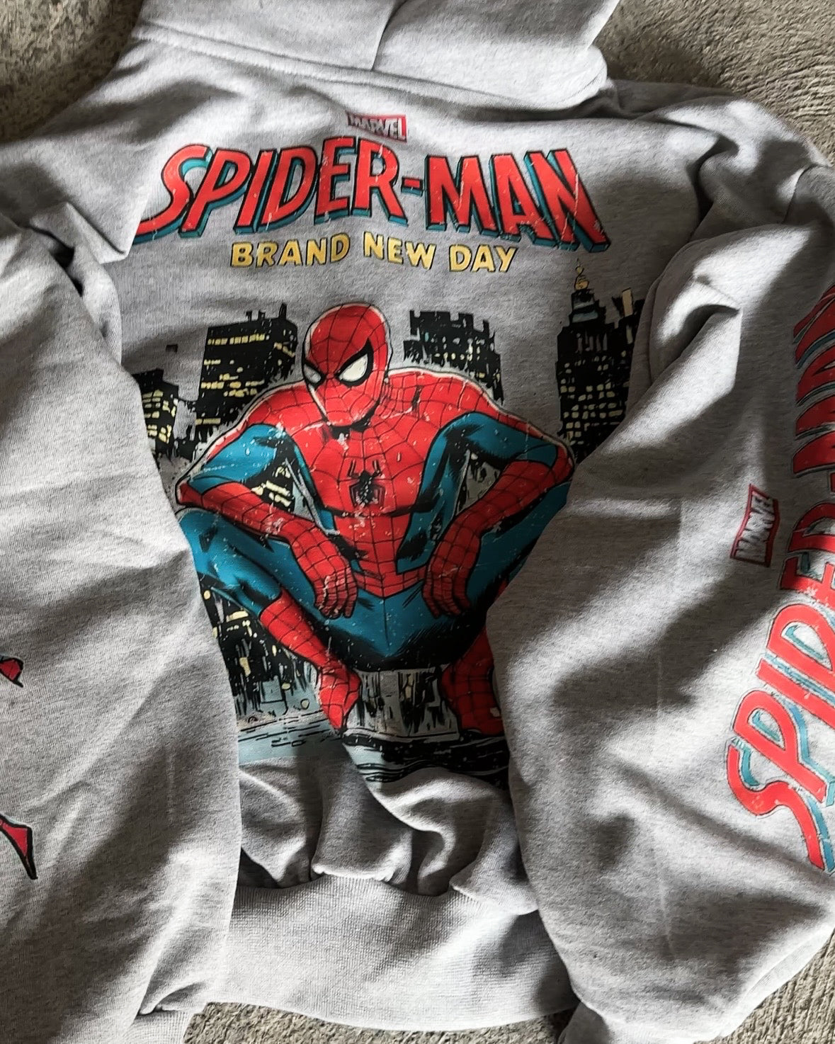 Zip Hoodie SPIDERMAN GRIS